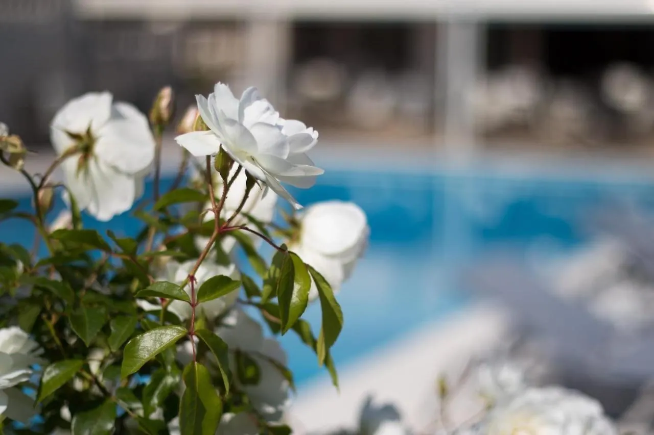 Le Mas Bellevue Saint-Tropez Hotel